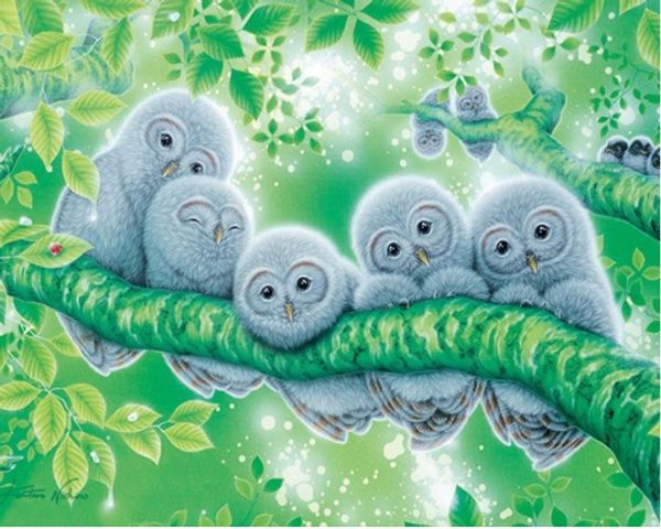 full square/round drill 5d diy diamond painting "owl embroidery cross stitch mosaic home decor experience toys gift a0003
full square/round drill 5d diy diamond painting "owl embroidery cross stitch mosaic home decor experience toys gift a0003