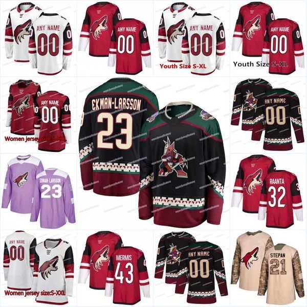 2018 New Season 55 Jason Demers 33 Alex Goligoski Arizona Coyotes 47 Alex Grant 4 Niklas Hjalmarsson 43 Dakota Mermis Hockey Jerseys
2018 New Season 55 Jason Demers 33 Alex Goligoski Arizona Coyotes 47 Alex Grant 4 Niklas Hjalmarsson 43 Dakota Mermis Hockey Jerseys