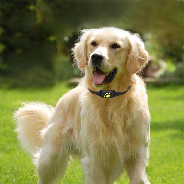 Z8 a pet gp tracker dog cat collar water re i tant gp callback function u b charging gp tracker for univer al dog anti lo t finder nb
Z8 a pet gp tracker dog cat collar water re i tant gp callback function u b charging gp tracker for univer al dog anti lo t finder nb