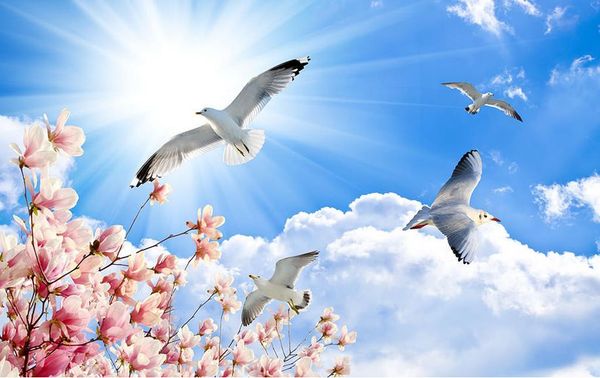non-woven wallpaper ceiling hd blue sky white clouds orchid sky flying pigeon ceiling background wall
non-woven wallpaper ceiling hd blue sky white clouds orchid sky flying pigeon ceiling background wall