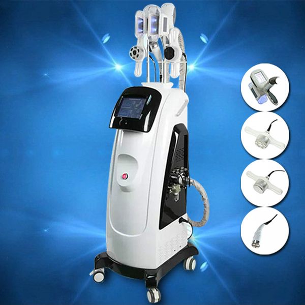 manufacturer direct sale clinic use selling fat e cryolipolysis slimming machine with 2 handles cryolipolysis fat ing machine
manufacturer direct sale clinic use selling fat e cryolipolysis slimming machine with 2 handles cryolipolysis fat ing machine