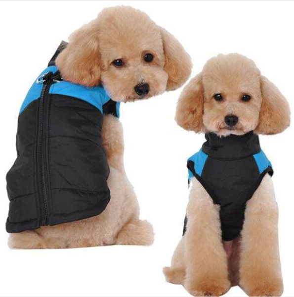 2019 wholesales waterproof winter dog jacket pet clothes puppy rain coat warm puppy costume
2019 wholesales waterproof winter dog jacket pet clothes puppy rain coat warm puppy costume