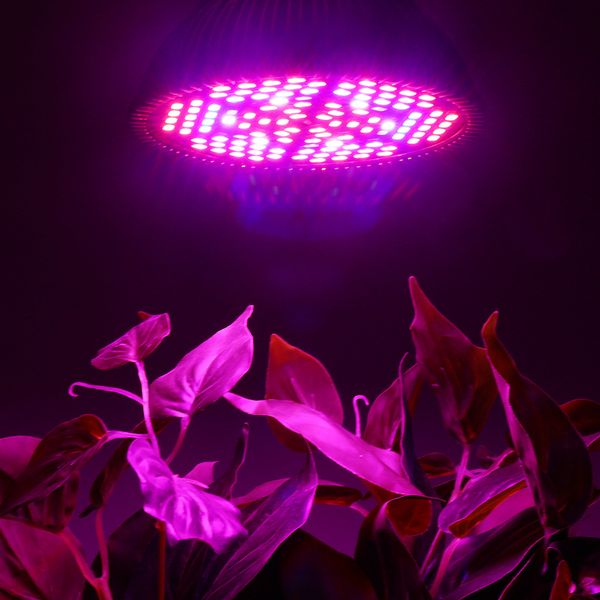 водить 24w par38 e27 led grow light bulb комнатное растение сад парниковый гидропоники завод полный спектр входного напряжения переменного т
водить 24w par38 e27 led grow light bulb комнатное растение сад парниковый гидропоники завод полный спектр входного напряжения переменного т