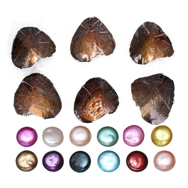 11 colors to choose akoya pearl oysters genuine fresh water oyster beads charm beads jewelry making multi color beads, White
11 colors to choose akoya pearl oysters genuine fresh water oyster beads charm beads jewelry making multi color beads, White