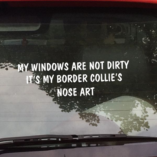 my windows are not dirty it's my border collie's nose art funny car dog sticker border collie
my windows are not dirty it's my border collie's nose art funny car dog sticker border collie
