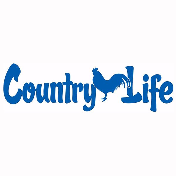 country life living rooster chicken car truck window lapvinyl decal sticker rear window car sticker
country life living rooster chicken car truck window lapvinyl decal sticker rear window car sticker