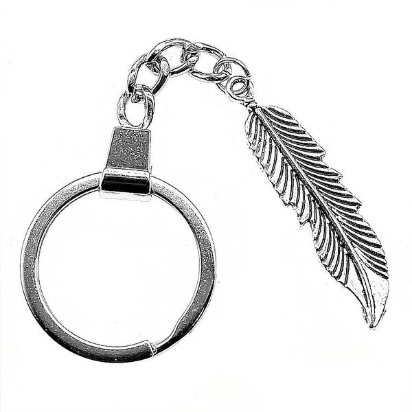 6 pieces key chain women key rings for car keychains with charms feather 45mm, Slivery;golden
6 pieces key chain women key rings for car keychains with charms feather 45mm, Slivery;golden
