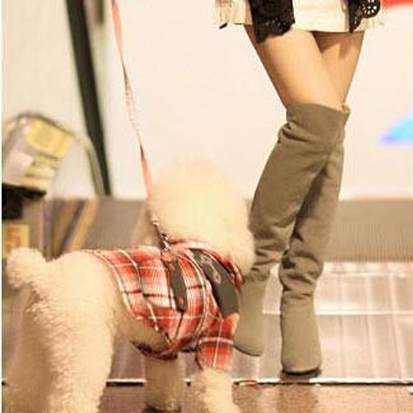 2015 new fashion women's high-heeled shoes tall knee-length boots 4 colors plus size 35-43 #8358, Black
2015 new fashion women's high-heeled shoes tall knee-length boots 4 colors plus size 35-43 #8358, Black