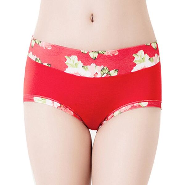 new underwear women panties plus size briefs panties shorts lingeries calcinha underpant panty girl cotton underwear ladies, Black;pink
new underwear women panties plus size briefs panties shorts lingeries calcinha underpant panty girl cotton underwear ladies, Black;pink