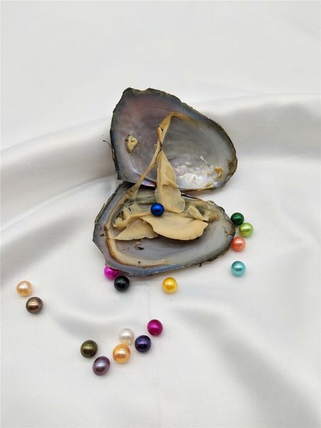 Смешайте цвета пресноводной круглой жемчужины с раковиной устрицы 6-7mm в Oyster single, P
Смешайте цвета пресноводной круглой жемчужины с раковиной устрицы 6-7mm в Oyster single, P