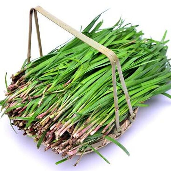 Leek seeds perennial growth fast root chives balcony vegetable seeds 200 particles/bag
Leek seeds perennial growth fast root chives balcony vegetable seeds 200 particles/bag