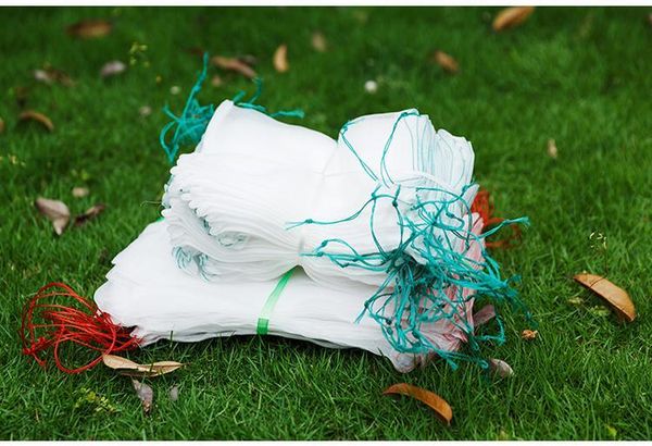 100pcs lot20x20cm fish fruit wristband bag rice seed soaking packaging bags insect birds pest filter bag 380microns pollen bag
100pcs lot20x20cm fish fruit wristband bag rice seed soaking packaging bags insect birds pest filter bag 380microns pollen bag