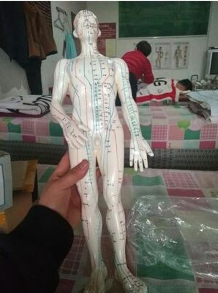 50cm white male lettering acupuncture point university body mannequin of acupuncture, medical research massage reflex teaching model c518, Black
50cm white male lettering acupuncture point university body mannequin of acupuncture, medical research massage reflex teaching model c518, Black