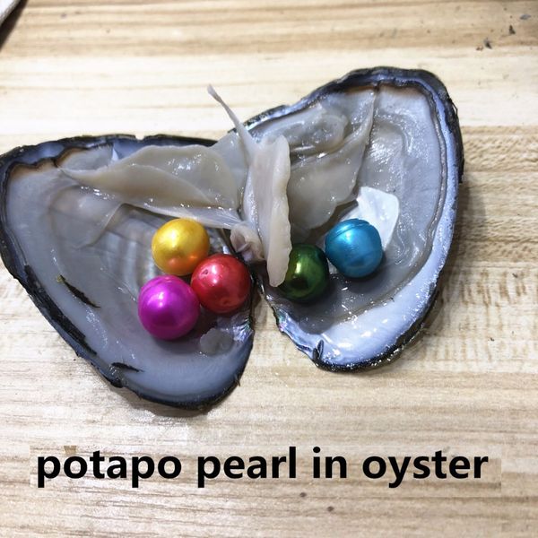 wholesale 2018 new rainbow 9-11mm potapo pearl in freshwater oyster wish pearl meaning funny birthday gift for women party diy jewellery, White
wholesale 2018 new rainbow 9-11mm potapo pearl in freshwater oyster wish pearl meaning funny birthday gift for women party diy jewellery, White