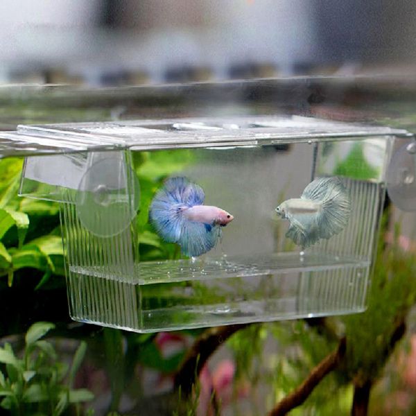 acrylic fish tank breeding breeder isolation box aquarium hatchery incubato grow seedlings reproduction holder
acrylic fish tank breeding breeder isolation box aquarium hatchery incubato grow seedlings reproduction holder