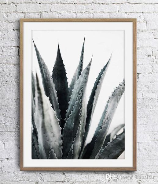aloe plant wall decor pictures green leaf art print home decor poster unframe 16 24 36 47 inches
aloe plant wall decor pictures green leaf art print home decor poster unframe 16 24 36 47 inches
