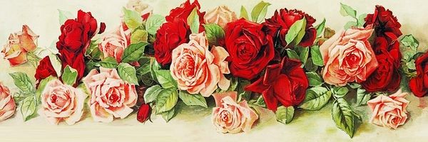 a2320 mum 90*30cm 5d diamond embroidery painting home decor diamond crossing stitch 100% resin tool dril painting mosaic needlework
a2320 mum 90*30cm 5d diamond embroidery painting home decor diamond crossing stitch 100% resin tool dril painting mosaic needlework