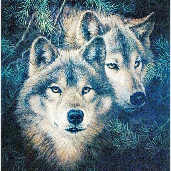 a1972 wolfhead 30*30 5d diy diamond embroidery painting home decor diamond crossing stitch 100% resin tool dril painting mosaic needlework
a1972 wolfhead 30*30 5d diy diamond embroidery painting home decor diamond crossing stitch 100% resin tool dril painting mosaic needlework