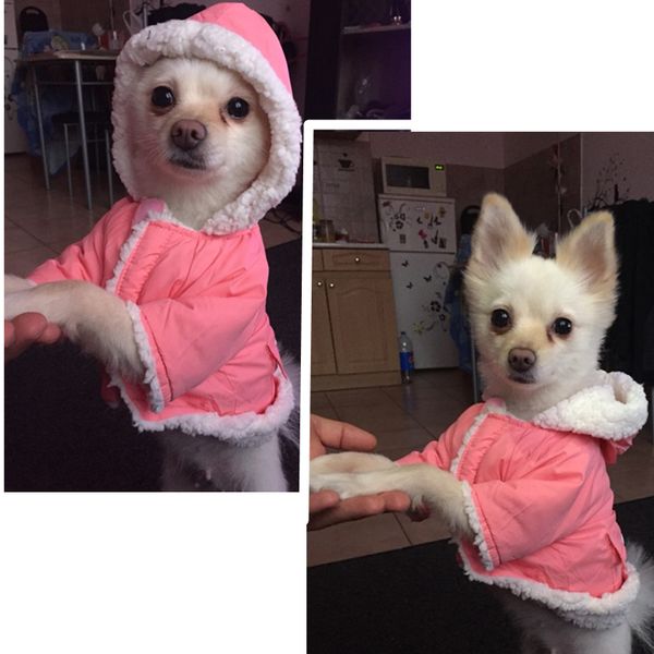 новый дизайн зимняя одежда для собак для маленьких собак теплый pet собак вниз parkas одежда для французского бульдога мопс одежда зимняя чи
новый дизайн зимняя одежда для собак для маленьких собак теплый pet собак вниз parkas одежда для французского бульдога мопс одежда зимняя чи