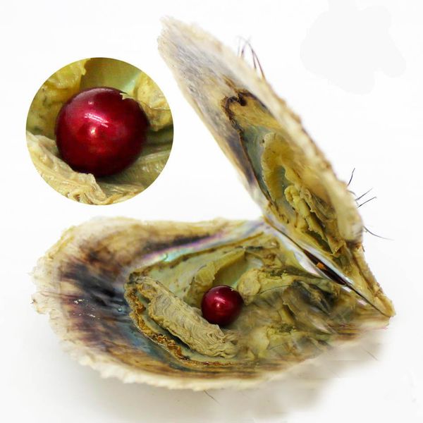 2020 diy seawater akoya oyster with single pearls mixed 25 colors circle natural pearl in vacuum package for jewelry gift, White
2020 diy seawater akoya oyster with single pearls mixed 25 colors circle natural pearl in vacuum package for jewelry gift, White