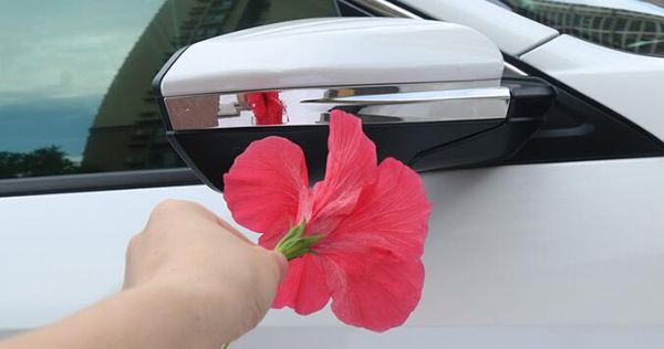 2pcs car door mirror side decoration trim,viewrear protective bar for honda civic 2016-2020
2pcs car door mirror side decoration trim,viewrear protective bar for honda civic 2016-2020