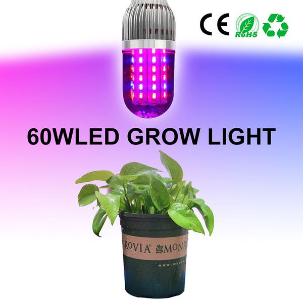 2pcs/lot full spectrum grow lights e27 36w/54w/69w red + blue smd leds 85-265v led grow corn light for plant
2pcs/lot full spectrum grow lights e27 36w/54w/69w red + blue smd leds 85-265v led grow corn light for plant