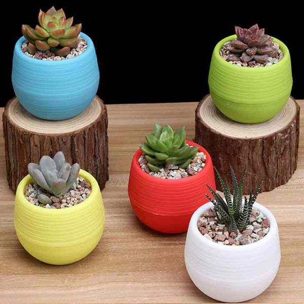 mini fleshy plants pp resin flowerpots colorful plastic pot succulent plant bed nursery rainbow basins moss terrarium decoration
mini fleshy plants pp resin flowerpots colorful plastic pot succulent plant bed nursery rainbow basins moss terrarium decoration