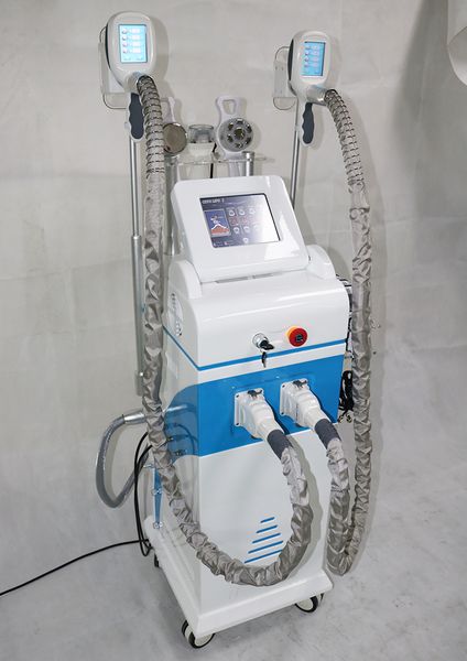 high intensity 3 handles cool body sculpting cryotherapy lipoe slimming device fat ing liposuction for salon clinic use ce/dhl
high intensity 3 handles cool body sculpting cryotherapy lipoe slimming device fat ing liposuction for salon clinic use ce/dhl