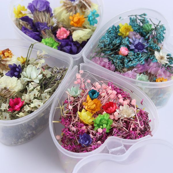 mixed dried flowers nail art decoration preserved flower with heart shape box diy tips manicure 3d nail art decoration, Silver;gold
mixed dried flowers nail art decoration preserved flower with heart shape box diy tips manicure 3d nail art decoration, Silver;gold
