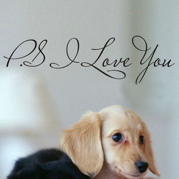ps i love you letter vinyl wall quotes stickers home art decals room decoration
ps i love you letter vinyl wall quotes stickers home art decals room decoration