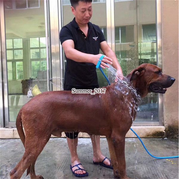 новый pet купания массаж инструмент muchun собака сочетание опрыскиватель и скруббер для купания массажер инструмент 2.5 м трубы pet чистящи
новый pet купания массаж инструмент muchun собака сочетание опрыскиватель и скруббер для купания массажер инструмент 2.5 м трубы pet чистящи