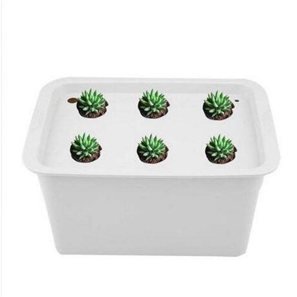 6 holes plant site hydroponic system grow kit bubble indoor garden cabinet box garden supplies patio lawn & garden planters
6 holes plant site hydroponic system grow kit bubble indoor garden cabinet box garden supplies patio lawn & garden planters