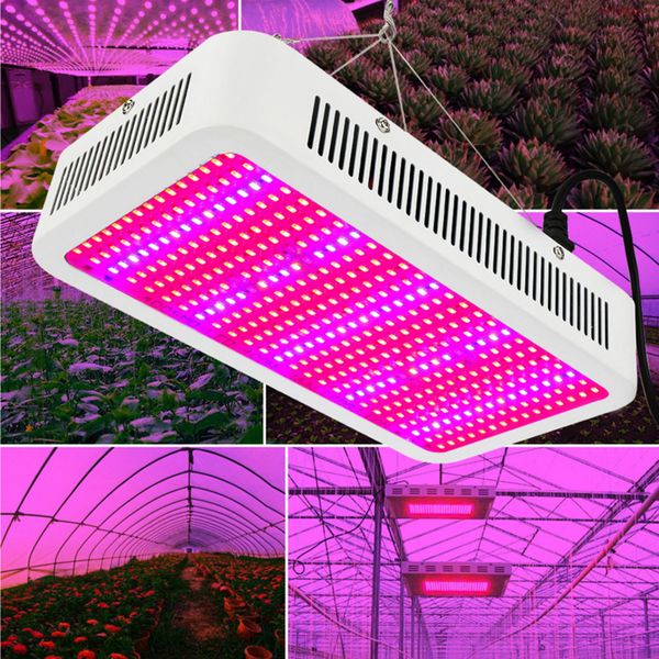 400w grow led indoor plant lamp light greenhouse fruit and vegetable/flower lights plant hanging line lamp full spectrum
400w grow led indoor plant lamp light greenhouse fruit and vegetable/flower lights plant hanging line lamp full spectrum