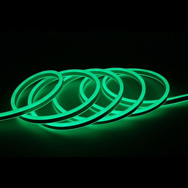 Placa de LED Néon forlight
Placa de LED Néon forlight