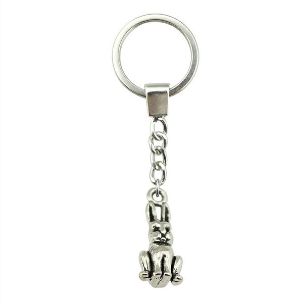 6 pieces key chain women key rings fashion keychains for men 3d rabbit 24x10x8mm, Slivery;golden
6 pieces key chain women key rings fashion keychains for men 3d rabbit 24x10x8mm, Slivery;golden