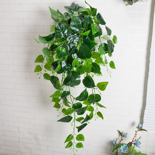 декор для стен искусственный зелень поддельный растение ivy leaf пластиковая гирлянда виноградная лоза искусственные цветы поддельная листва
декор для стен искусственный зелень поддельный растение ivy leaf пластиковая гирлянда виноградная лоза искусственные цветы поддельная листва