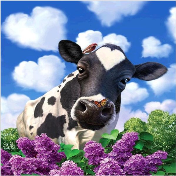 Full Square/round Drill 5D DIY Diamond Painting "Cows" handmade 3D Embroidery arts Cross Stitch Mosaic Home Decor Experience toys gift
Full Square/round Drill 5D DIY Diamond Painting "Cows" handmade 3D Embroidery arts Cross Stitch Mosaic Home Decor Experience toys gift