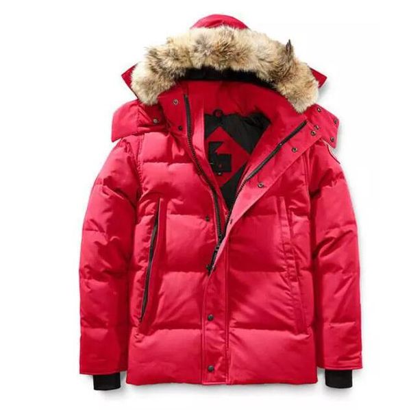 Brand 2018 new arrival men 039 wyndham down parka winter jacket arctic parka navy black green red outdoor coat hoodie
Brand 2018 new arrival men 039 wyndham down parka winter jacket arctic parka navy black green red outdoor coat hoodie