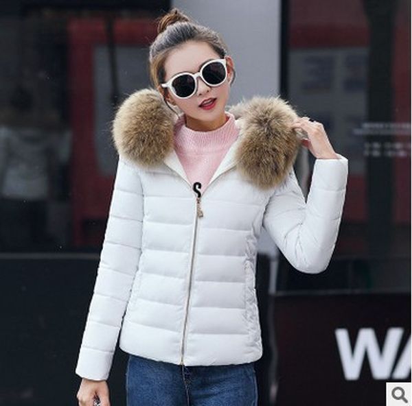2018 winter korean new cotton padded jacket, female short style slim cotton jacket, down cotton jacket, coat girl, Black
2018 winter korean new cotton padded jacket, female short style slim cotton jacket, down cotton jacket, coat girl, Black