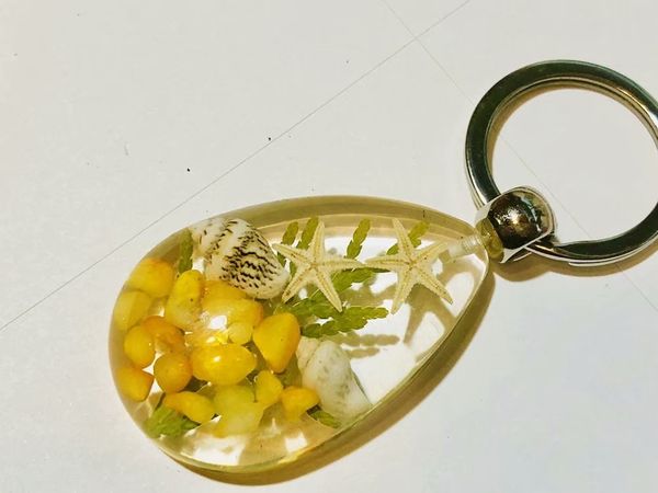 yqtdmy 15 pcs lucid drop taxidermy double starfish key ring gift keychain ring, Slivery;golden
yqtdmy 15 pcs lucid drop taxidermy double starfish key ring gift keychain ring, Slivery;golden