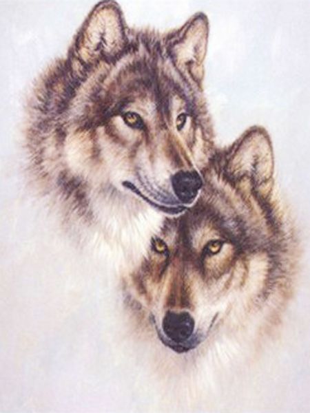 a1802 wolfgentle 30*40 diamond embroidery home decor diamond cross stitch 100% resin tool dril painting cross stitch mosaic needlework
a1802 wolfgentle 30*40 diamond embroidery home decor diamond cross stitch 100% resin tool dril painting cross stitch mosaic needlework