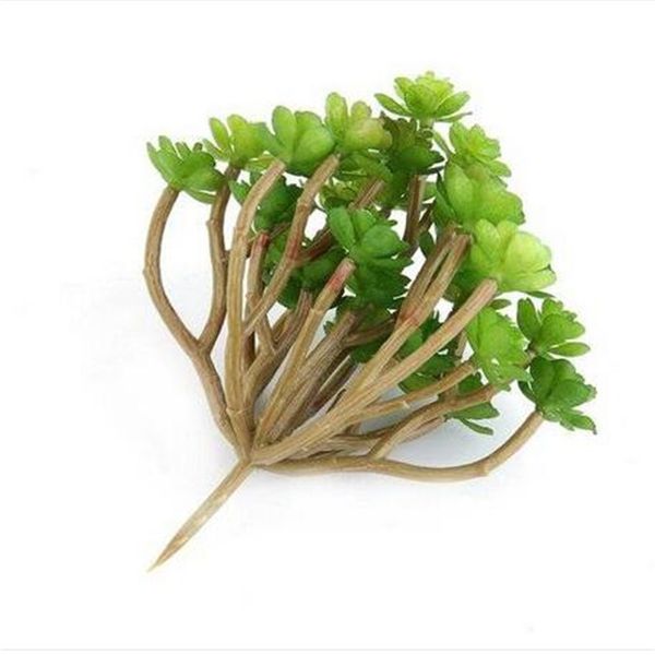 green plastic artificial faux mini succulent plant home wedding party decoration decorative flowers & wreaths
green plastic artificial faux mini succulent plant home wedding party decoration decorative flowers & wreaths