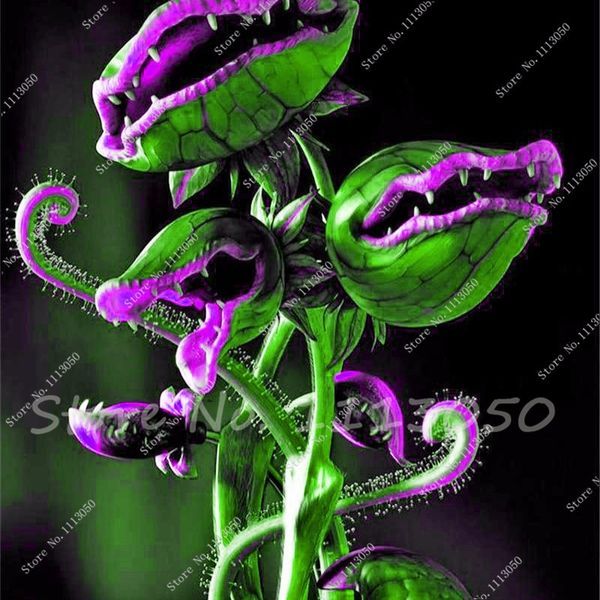 

30 Шт Сад Бонсай Горшечных Растений Мухоловка Dionaea АМФ; Гигантский Клип Венера Мухоловка Семена Растения Хищное Растение Семена