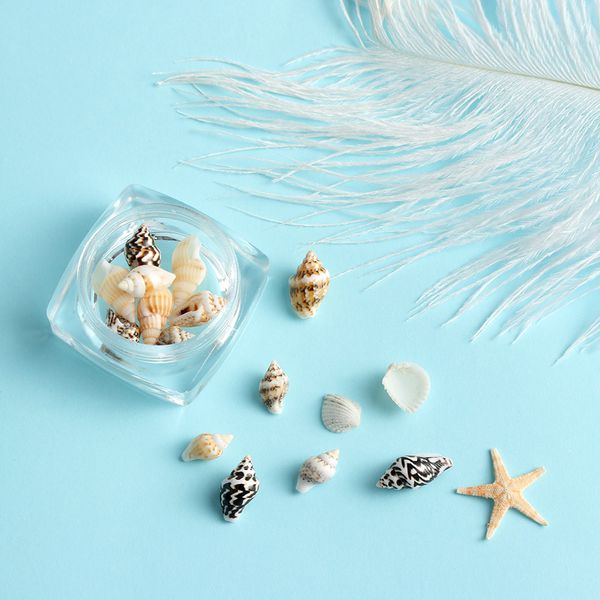 1 box 3d fashion mini conch shells star fish sea beach ornaments diy nail art rhinestone & decoration tips manicure decor tools, Silver;gold
1 box 3d fashion mini conch shells star fish sea beach ornaments diy nail art rhinestone & decoration tips manicure decor tools, Silver;gold