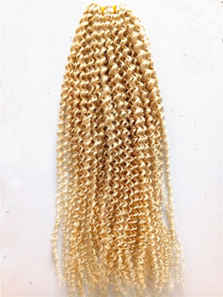 brazilian human virgin kinky curly hair extensions remy blonde 613# color hair weft 2-3bundles for full head, Black
brazilian human virgin kinky curly hair extensions remy blonde 613# color hair weft 2-3bundles for full head, Black