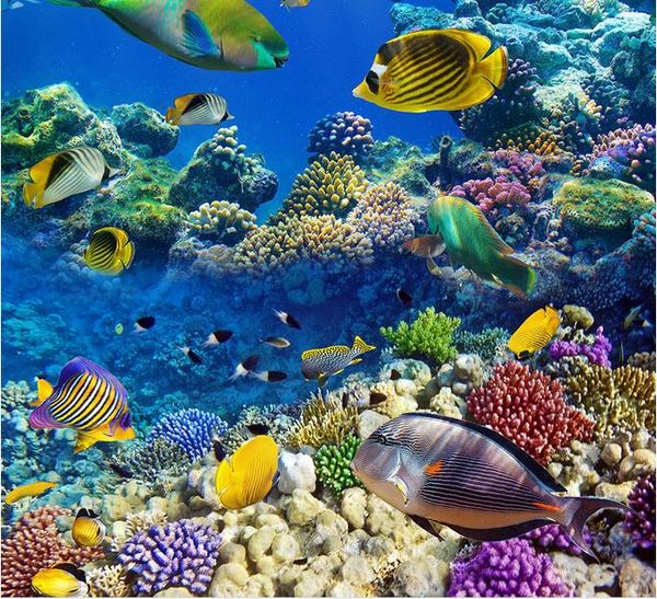 beautiful underwater world tropical bio bathroom bathroom 3d floor 3d wallpapers bathroom
beautiful underwater world tropical bio bathroom bathroom 3d floor 3d wallpapers bathroom