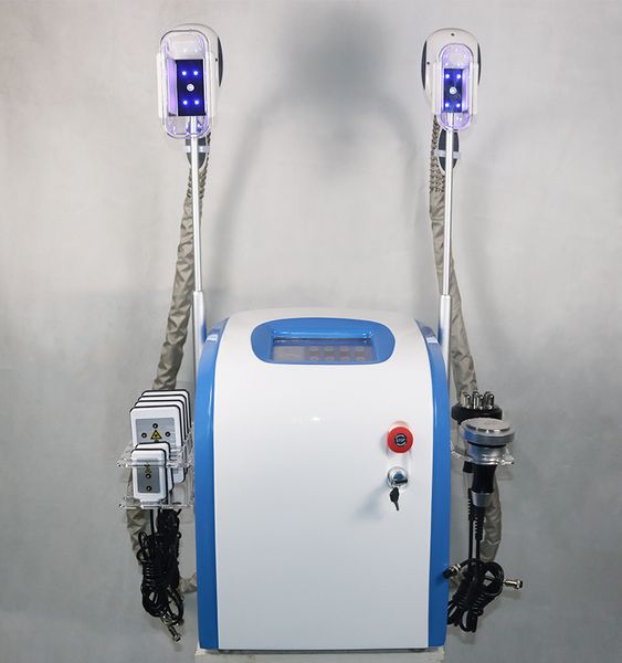 fat ing machine cryolipolysis ultrasonic cavitation rf slimming lipo laser 2 fat ing handles work together ce
fat ing machine cryolipolysis ultrasonic cavitation rf slimming lipo laser 2 fat ing handles work together ce