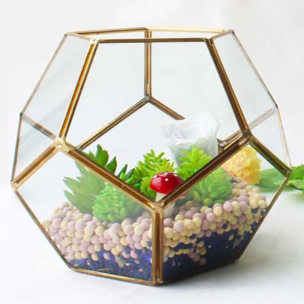 18*14cm new miniature glass terrarium geometric diamond deskgarden planter football style greenhouse succulent plants home decor wx9-677
18*14cm new miniature glass terrarium geometric diamond deskgarden planter football style greenhouse succulent plants home decor wx9-677