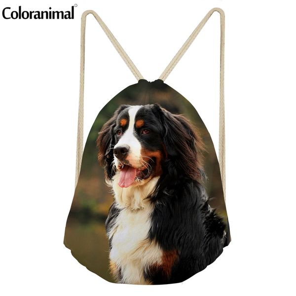 coloranimal cute animal dog print women drawstring bag bernese mountain dog men's casual fabric string backpack casual beach bag
coloranimal cute animal dog print women drawstring bag bernese mountain dog men's casual fabric string backpack casual beach bag