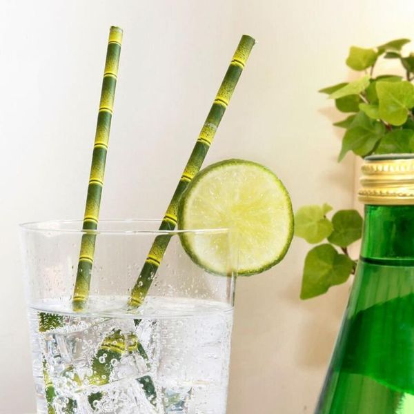 

25pcs biodegradable paper drinking straws birthday party wedding supplies decoration bamboo pattern 2o0518
